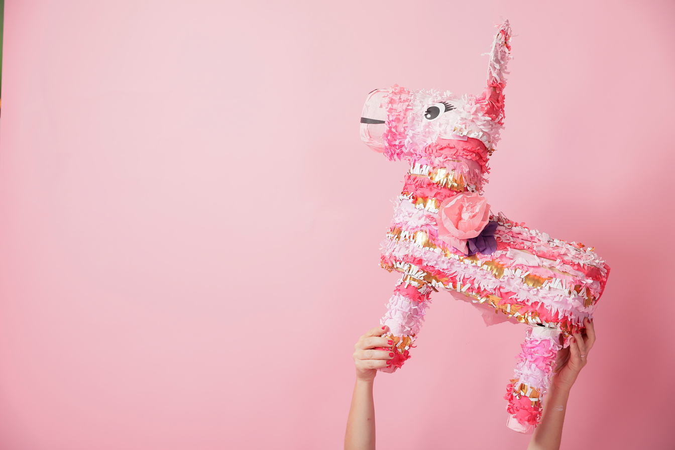 Llama Pinata ideas decoration with a pink background